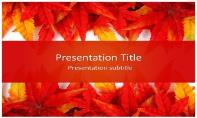 Leaf Abstract Free Ppt Template