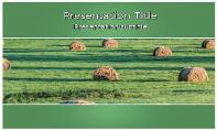 Bales Free Ppt Template