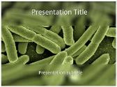 Free Koli Bacteria PowerPoint Template
