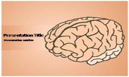 Human Brain Free Ppt Template