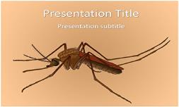Female Mosquito Free Ppt Template