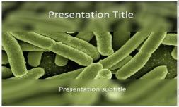 Koli Bacteria Free Ppt Template