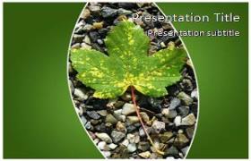 Free Maple Leaf PowerPoint Template