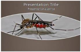 Free Mosquito PowerPoint Template