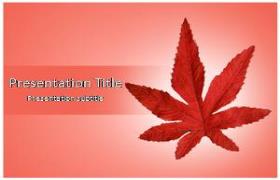 Free Autumn PowerPoint Template