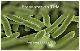 Free Koli Bacteria PowerPoint Template