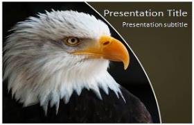 Free Eagles PowerPoint Template