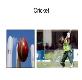 Cricket Overview Powerpoint Presentation