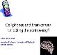 Cell Phone and Brain Cancer Powerpoint Presentation