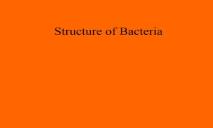 About Structure of Bacteria PowerPoint Presentation
