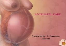 Antenatal care during the first second and the third PowerPoint Presentation