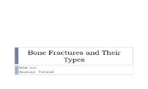 Bone Fractures and Their Types PowerPoint Presentation