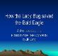 How the Lady Bug saved the Bald Eagle Powerpoint Presentation