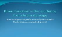 Brain function PowerPoint Presentation