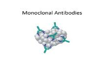 Monoclonal Antibodies PowerPoint Presentation