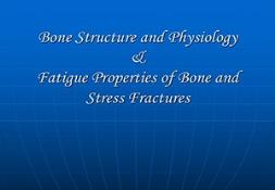 Bone Structure and Physiology Fatigue Properties of Bone PowerPoint Presentation