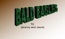 BALD EAGLES PowerPoint Presentation