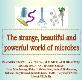 Bacteria or Virus Powerpoint Presentation
