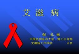 HIV & AIDS STIUATION IN CHINA PowerPoint Presentation