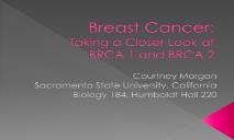 Breast Cancer-Taking a Closer Look at BRCA 1 and BRCA 2 PowerPoint Presentation
