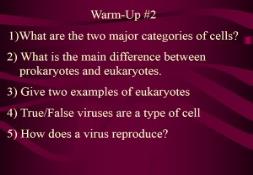 ORGANELLES in Plant Animal and Bacteria Cells PowerPoint Presentation