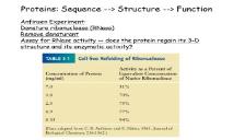 Why dont antibodies get rid of HIV PowerPoint Presentation