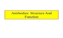 Antibodies-Structure and Function PowerPoint Presentation