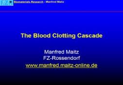 Diagram of the Blood Clotting Cascade PowerPoint Presentation