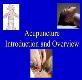 Acupuncture Introduction and Overview Powerpoint Presentation