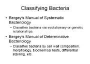 Keith King-Classifying Bacteria Powerpoint Presentation