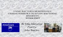 Bacteria Morphology PowerPoint Presentation