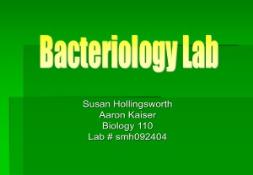 The Study of Bacteria PowerPoint Presentation