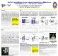Breast Feeding and Infant Body-Facial Orientations Amongst Powerpoint Presentation