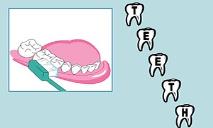 Types of Teeth PowerPoint Presentation