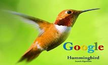 Google Hummingbird Search Algorithm PowerPoint Presentation
