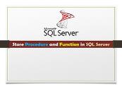 Store Procedure and Function in Sql Server Powerpoint Presentation