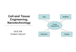 Cell and Tissue Engineering Nanotechnology PowerPoint Presentation