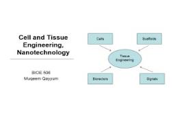 Cell and Tissue Engineering Nanotechnology PowerPoint Presentation