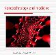 Nanotechnology and medicine Powerpoint Presentation