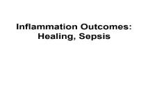Inflammation and Healing PowerPoint Presentation