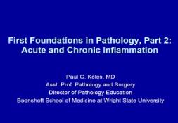 First Foundations III-Acute and Chronic Inflammation PowerPoint Presentation