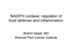 NADPH oxidase-regulator of host defense and inflammation (CGD) PowerPoint Presentation