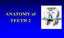 Dental Anatomy PowerPoint Presentation