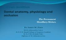 Human dentition Dental anatomy physiology and occlusion PowerPoint Presentation