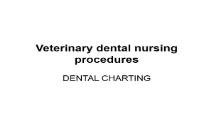 Dental Anatomy-animalstudiesonline PowerPoint Presentation