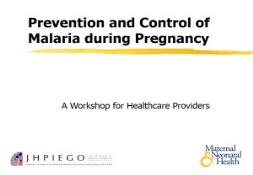 Malaria in Pregnancy-Malaria Foundation International PowerPoint Presentation