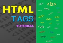 Basic HTML Tags Powerpoint Presentation
