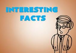 Interesting Facts Powerpoint Presentation