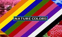 Nature Colors PowerPoint Presentation
