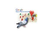 Google Algo Update 2014 (09818-871-429) Powerpoint Presentation